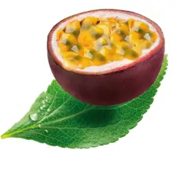 Sorbet passion